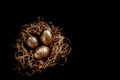 Easter goldenand white decorated eggs in nest on black background . Minimal easter concept copy space for text. Top