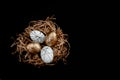 Easter goldenand white decorated eggs in nest on black background . Minimal easter concept copy space for text. Top