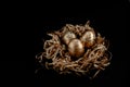 Easter goldenand white decorated eggs in nest on black background . Minimal easter concept copy space for text. Top