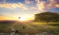 Flock of sheep on cross of Jesus christ and sunset background Royalty Free Stock Photo