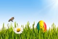 Easter Royalty Free Stock Photo