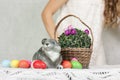 Easter gray rabbit among