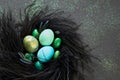 Easter green and blue eggs in feather bird nest on back background with glitter. Royalty Free Stock Photo