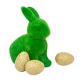 Easter green bunny isolated on white background