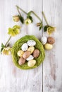 Easter green decoration over wood top view