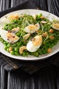 Easter green peas salad, micro green, nuts and boiled eggs close-up on a plate. vertical