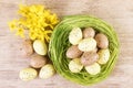 Easter green straw nest filled with colourful pastel eggs, top view