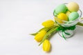 Easter green and yellow painted eggs in the vase and tulips, cop Royalty Free Stock Photo