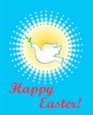 Easter greeting card with flying white dove with olive branch on the blue background with yellow sun. Flat design Royalty Free Stock Photo