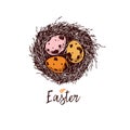 Easter greeting card. Hand drawn vector banner. Sketched nest with three quail or chicken eggs. Colored in pink, orange