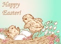 Easter greeting card with newborn chickens and eggs in basket with spring flowers