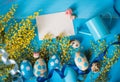 Easter greeting card. Painted eggs with yellow mimosa flowers and tiny watering can Royalty Free Stock Photo