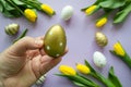 Easter greetings: close up hand holds golden egg, yellow tulips, painted white eggs lilac background Royalty Free Stock Photo