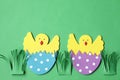 Easter hand made decorations: hatched chicken in eggshell isolated on green background Royalty Free Stock Photo