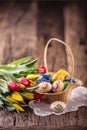 Easter. Hand made painted easter eggs in basket and spring tulips Royalty Free Stock Photo