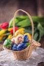 Easter. Hand made painted easter eggs in basket and spring tulips Royalty Free Stock Photo