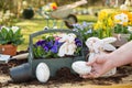 Easter handmade decoration with spring flowers and bunny at home