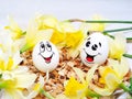 Easter happy egg, funny pictures