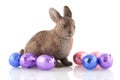 Easter hare with chocolate eggs