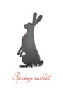 Easter hare concept, Easter rabbit in grey color with red bug, new look on Easter holiday symbol,