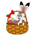 Easter Hare sitting in basket with Easter eggs. Template design for celebration, decoration elements. Education card for kids Royalty Free Stock Photo