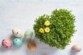 Easter heart-shaped watercress with colorful easter eggs. Easter background concept