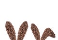 Easter holiday background with bunny ears made of freshly roasted coffee beans on a white background. Creative easter concept.