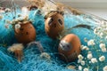 Easter holiday concept with cute handmade eggs, rabbit, chicks, owl, panda and deer. Creative eggs for Easter.