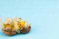 Easter holiday concept with 2 easter chicks on a blue background Royalty Free Stock Photo
