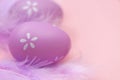 Easter holiday.Easter lilac eggs close-up and purple feathers on a delicate pink background.Festive easter background in Royalty Free Stock Photo