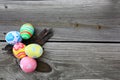 Easter Royalty Free Stock Photo