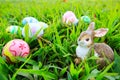 Easter Royalty Free Stock Photo