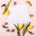 Easter holiday frame for greeting message. Yellow tulips, eggs and feathers Royalty Free Stock Photo