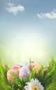 Easter holiday scene background. Traditional painted colorful eggs in spring grass over blue sky Royalty Free Stock Photo