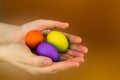 Easter holiday set of eggs painted yellow, lilac, red and brown lies in the hands Royalty Free Stock Photo