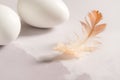 Easter holiday. White egg with a feather, bright minimalistic background Royalty Free Stock Photo