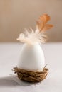 Easter holiday. White egg with a feather in a nest, bright minimalistic background Royalty Free Stock Photo