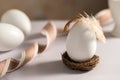 Easter holiday. White egg in a nest with a feather, bright minimalistic background Royalty Free Stock Photo