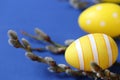 Easter holiday.Yellow easter eggs and pussy willow sprigs on bright blue background.Spring festive easter background Royalty Free Stock Photo