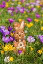 Easter holidays concept. Easter sweet chocolate bunny or rabbit