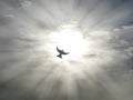 Easter holy spirit peace dove flying through open sky clouds with sun rays