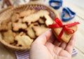 Easter home-made cookies Royalty Free Stock Photo