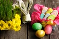 Easter homemade gingerbread cookie and eggs