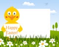 Easter Horizontal Frame with Cute Chick Royalty Free Stock Photo