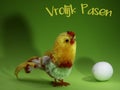 Easter image with the Dutch words Vrolijk Pasen Royalty Free Stock Photo