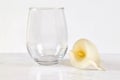 Stemless wine glass mockup with lovely white Easter calla lily Royalty Free Stock Photo