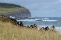 Easter Island cliffs and waves under cloudy sky Royalty Free Stock Photo