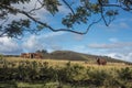 Easter Island locations Royalty Free Stock Photo