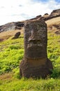 Easter Island Moai - Rano Raraku Royalty Free Stock Photo