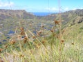 Easter Island - Rano Kau volcano Royalty Free Stock Photo